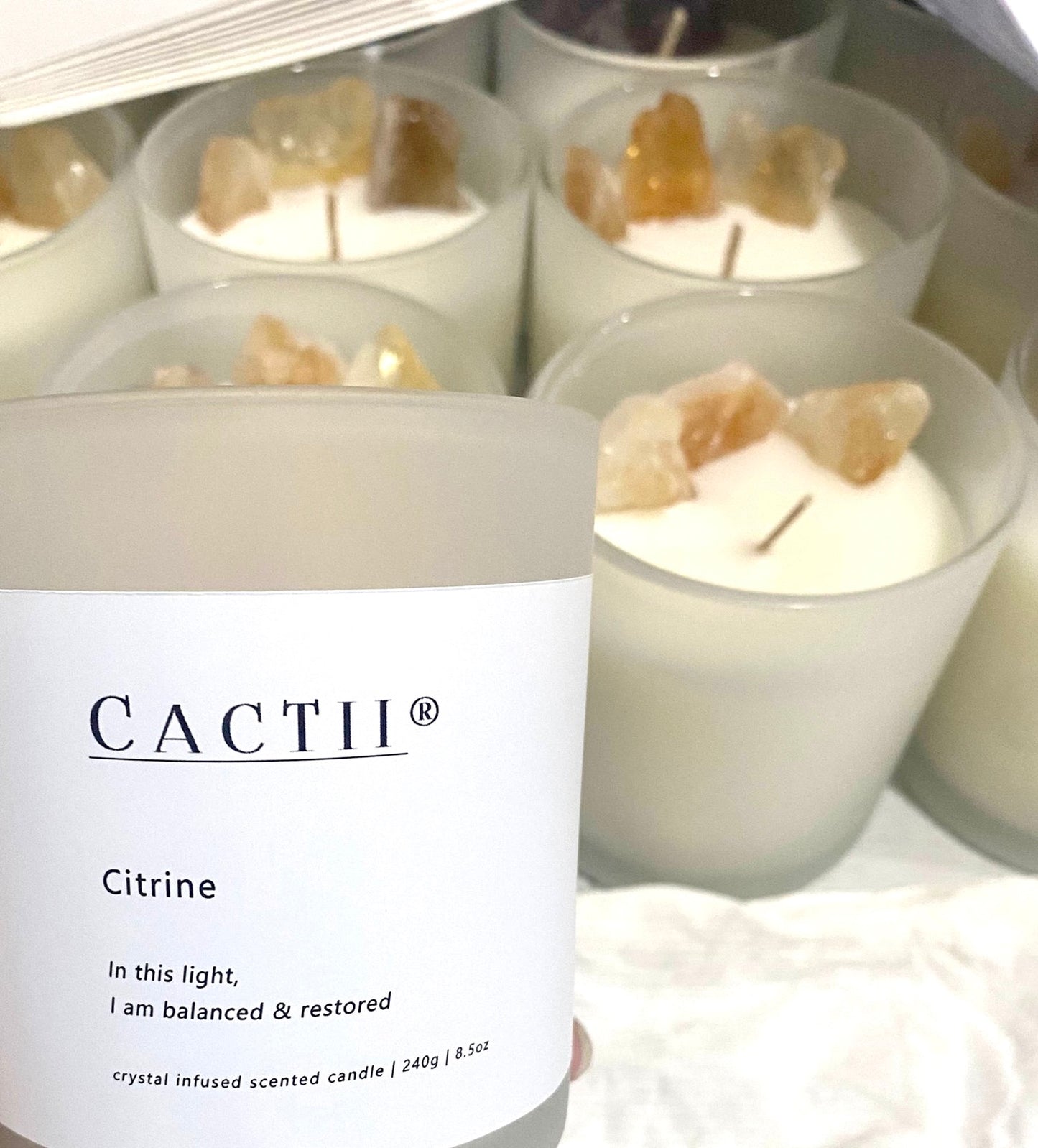 Cactii Stone Candle 8oz