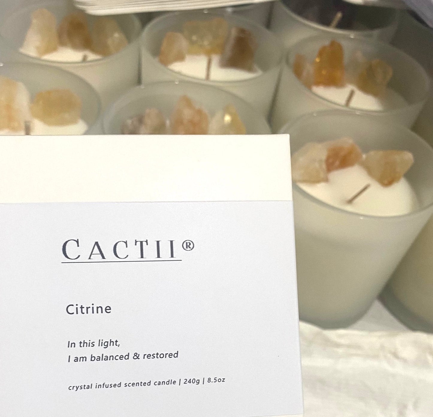 Cactii Stone Candle 8oz